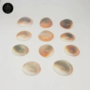 Gomti Chakra for Money